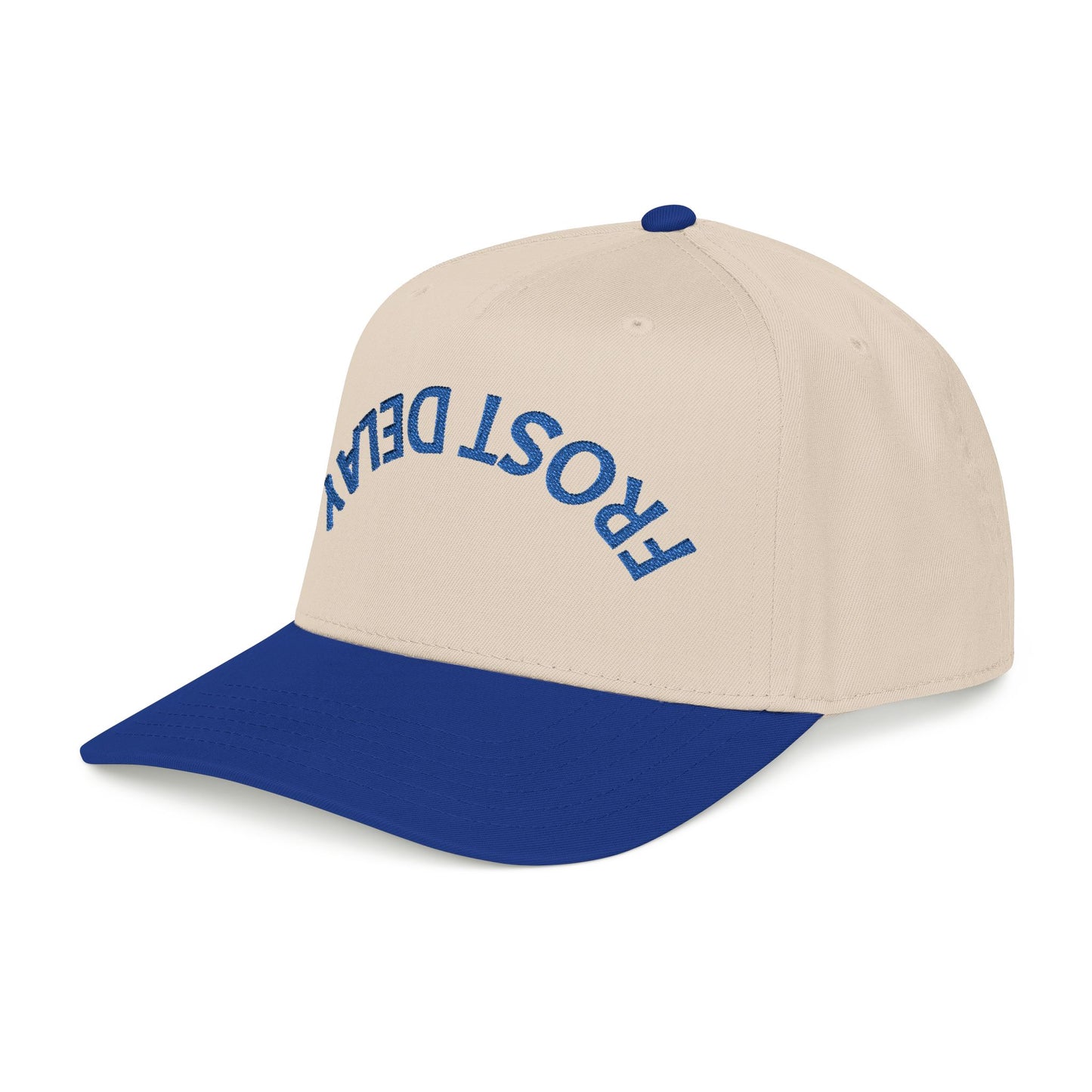 Frost Delay Upside down America hat