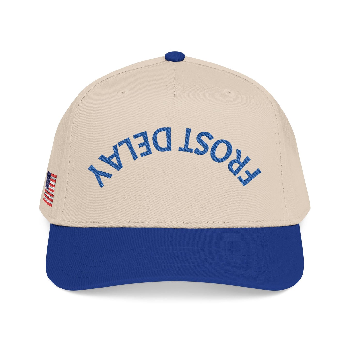 Frost Delay Upside down America hat