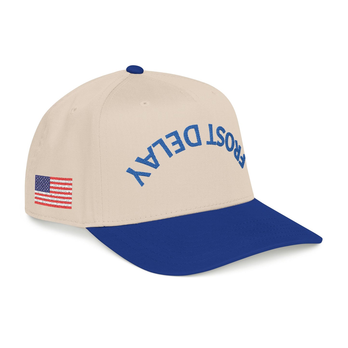 Frost Delay Upside down America hat