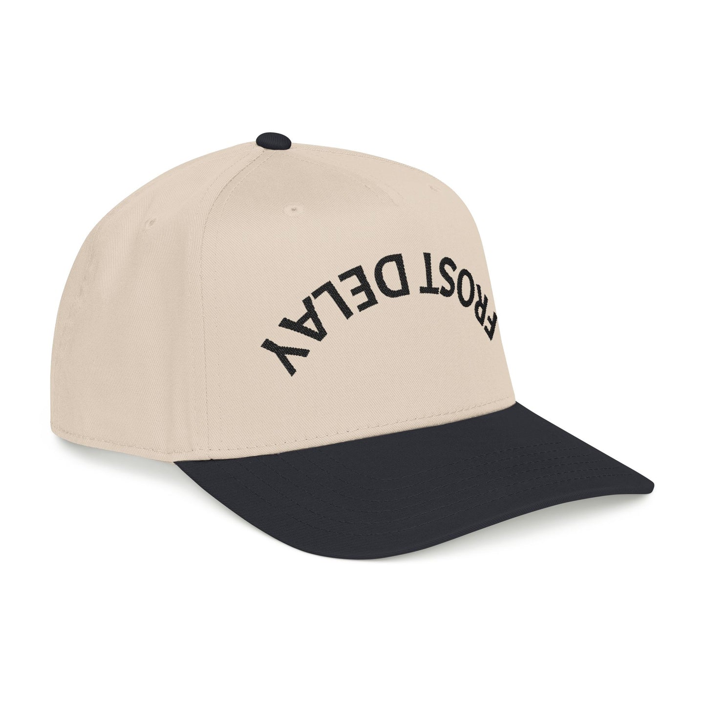Frost Delay Upside Down hat
